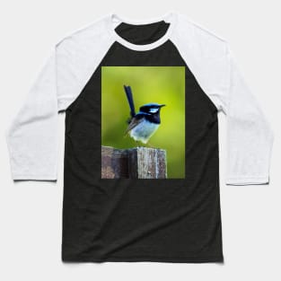 Australian Superb Fairy-Wren Baseball T-Shirt